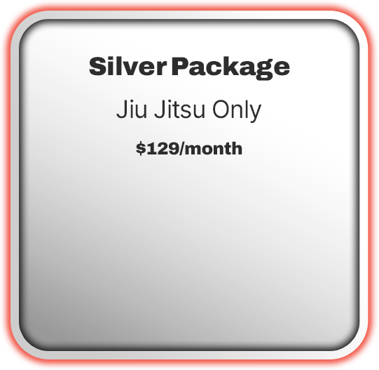 Silver Package